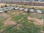 605 Sq.Ft. Land in Wargal