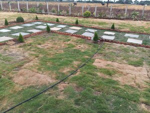  Land For Sale in Wargal