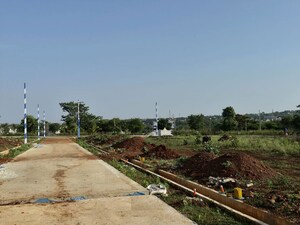Plot Area in  Plot at Amargol – for Sale
