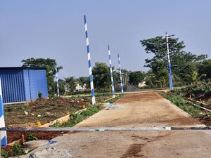 Plot Area in  Plot at Amargol – for Sale