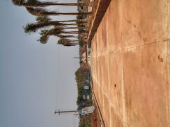 Plot For Sale in Dhannaram