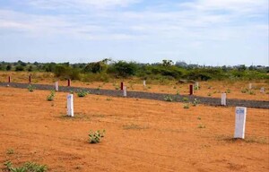 Plot Area in  Plot at Mukkidipeta – for Sale