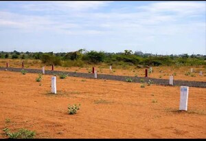 Plot Area in  Plot at Mukkidipeta – for Sale