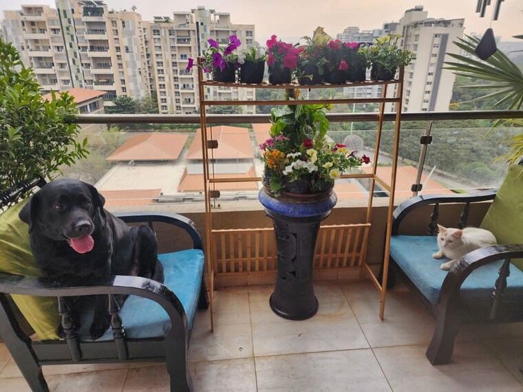 Balcony, prithvi-presidio 3.5 Bedroom 2400 Sq.Ft. Apartment In Hadapsar Pune 10551523