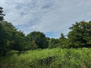  Plot – Garden View at Karjat Futura, Karjat - for Sale