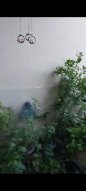 2 BHK Builder Floor – Map Location View at Lajpat Nagar I - for Rent