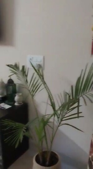 Staircase in 2 BHK Builder Floor at Lajpat Nagar I – for Rent