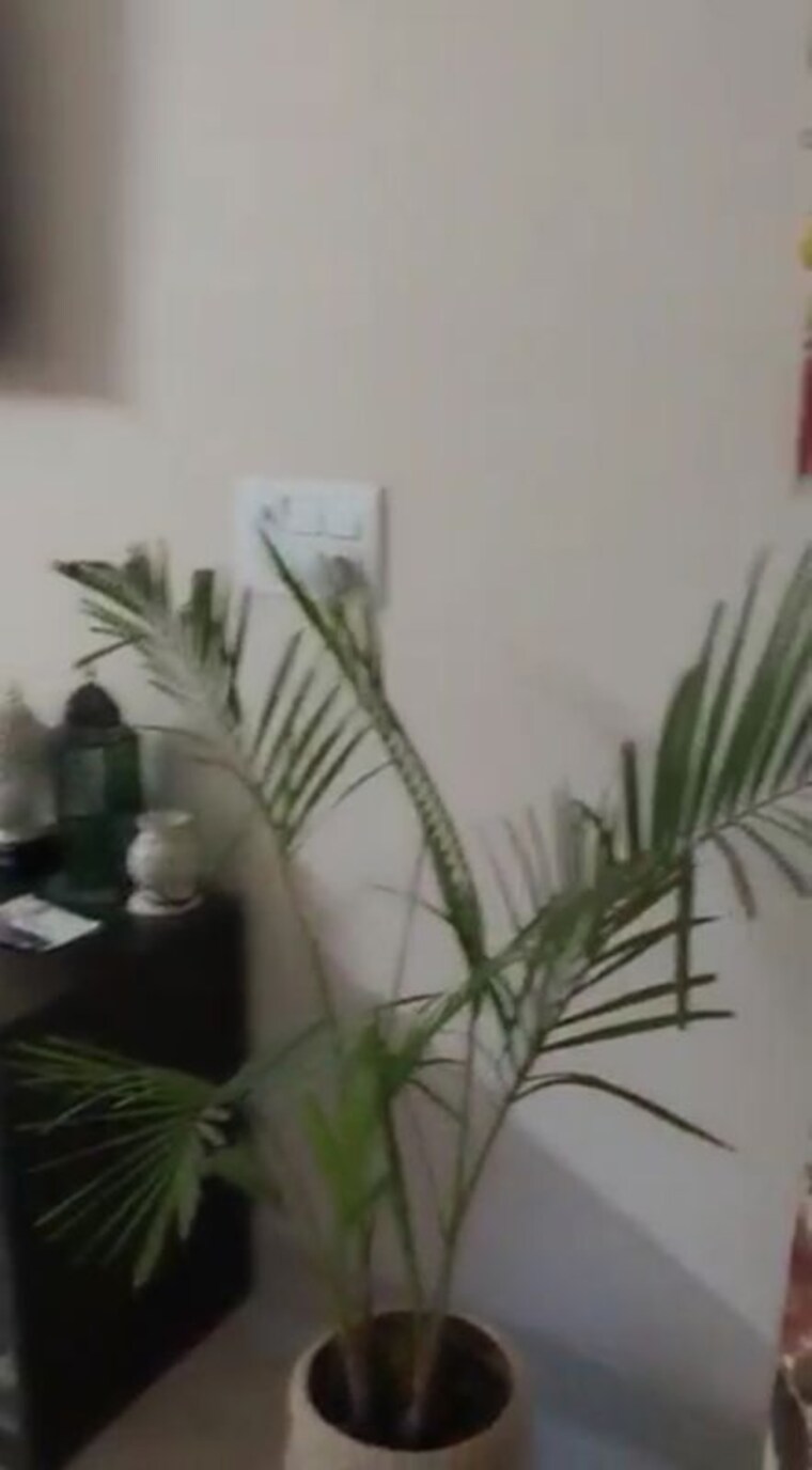 undefined, lajpat nagar i 2 Bedroom 900 Sq.Ft. Builder Floor In Lajpat Nagar I Delhi 10551841