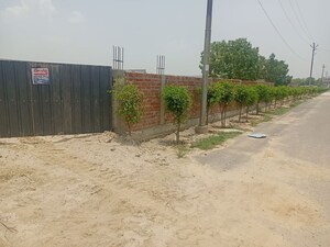 Plot Area in  Plot at Dhaulana – for Sale