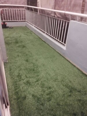 Balcony in 3 BHK Builder Floor at Sector 21 – for Rent