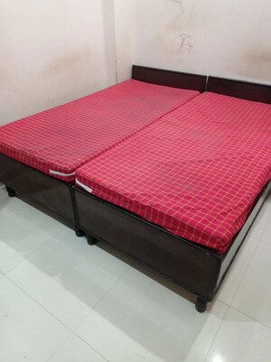1 BHK Apartment For Rent in DLF Atria, Dlf Phase ii