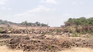 Plot Area in  Land at Pataudi – for Sale