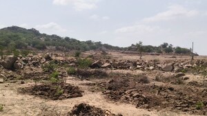 Plot Area in  Land at Pataudi – for Sale