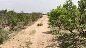 Plot Area in  Land at Pataudi – for Sale