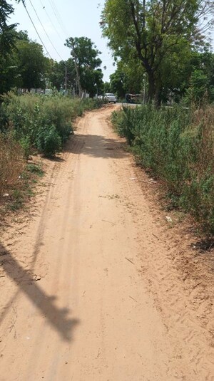Plot Area in  Land at Pataudi – for Sale