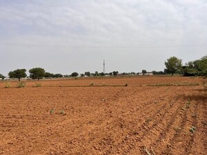 Plot Area in  Land at Pataudi – for Sale