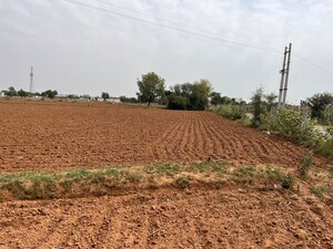 Plot Area in  Land at Pataudi – for Sale