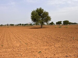  Land For Sale in Pataudi