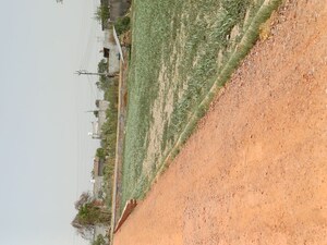 Plot Area in  Plot at Karnera Village – for Sale