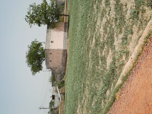  Plot For Sale in Karnera Village