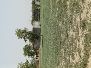 Plot Area in  Plot at Karnera Village – for Sale
