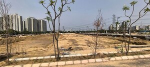 Plot Area in  Plot at Hemis One, Farukh Nagar Sector 1 – for Sale