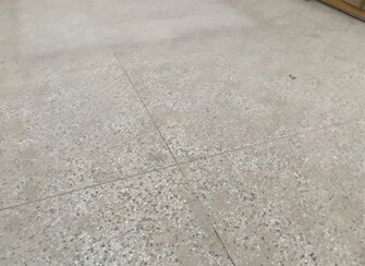 2 BHK + Prayer Room,Servant Room,Study Room Apartment For Rent in Raheja The Delhi Mall in Patel Nagar, Delhi