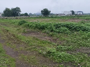 Plot Area in  Industrial Plot at Halol – for Sale