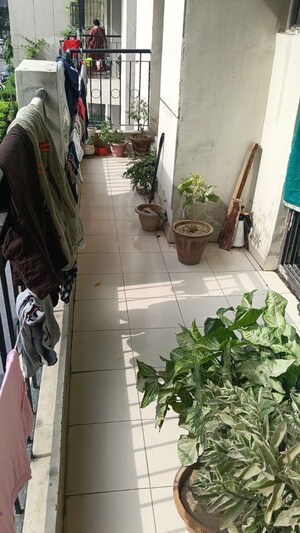 Balcony in 2 BHK Apartment at Ascent Savy Ville De, Raj Nagar Extension – for Rent