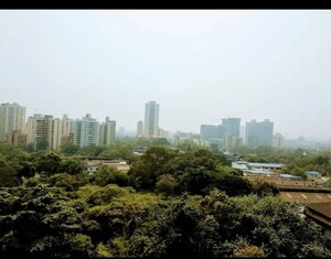 Plot Area in 2 BHK Apartment at Dhokali – for Rent