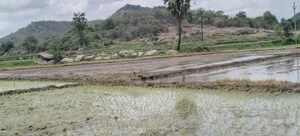 Plot Area in  Plot at Rangashaipet – for Sale