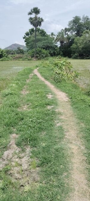 Plot For Sale in Rangashaipet