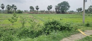 Plot Area in  Land at Warangal Gpo – for Sale