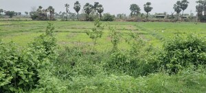  Land For Sale in Warangal Gpo
