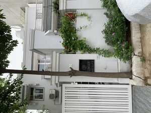 4 BHK Independent House For Rent in Dlf Phase iv