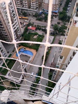 2 BHK Apartment For Rent in Divyansh Flora, Sector 16c Greater Noida