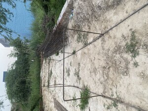   Plot at Raj Nagar Extension – for Sale