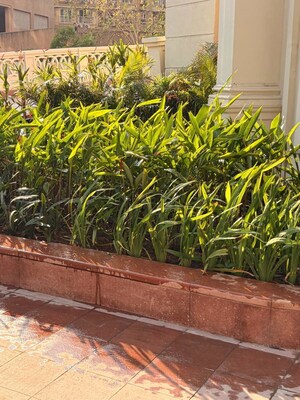 Balcony in 2.5 BHK Apartment at Lodha Bellagio, Powai – for Rent