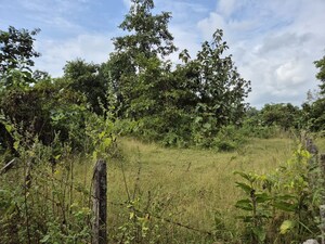  Plot For Sale in Shahapur