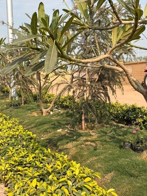  Plot – Garden View at Kundol - for Sale