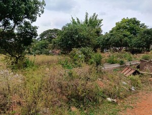 Plot Area in  Warehouse at Nelamangala – for Rent