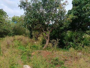  Warehouse – Garden View at Nelamangala - for Rent
