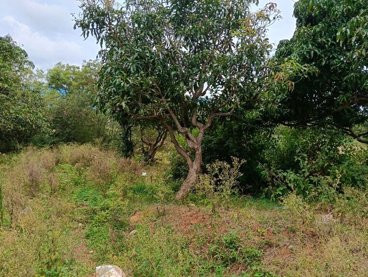 Garden, nelamangala Commercial Warehouse 130000 Sq.Ft. In Nelamangala Bangalore 10554062
