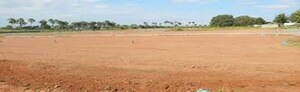 Plot Area in  Plot at Amangal – for Sale