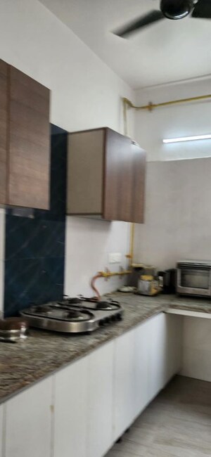 Kitchen in 3 BHK Builder Floor at East Of Kailash – for Rent