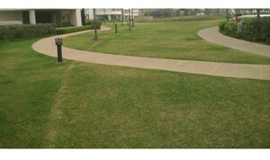 2 BHK Apartment – Garden View at Emaar The Palm Drive-Palm Studios, Sector 66 - for Sale