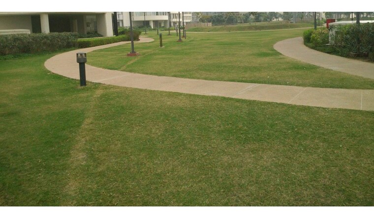 Garden, emaar-the-palm-drive-palm-studios 2 Bedroom 1188 Sq.Ft. Apartment In Sector 66 Gurgaon 10554547