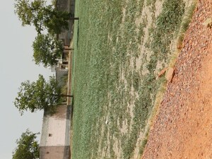 Plot Area in  Plot at Karnera Village – for Sale