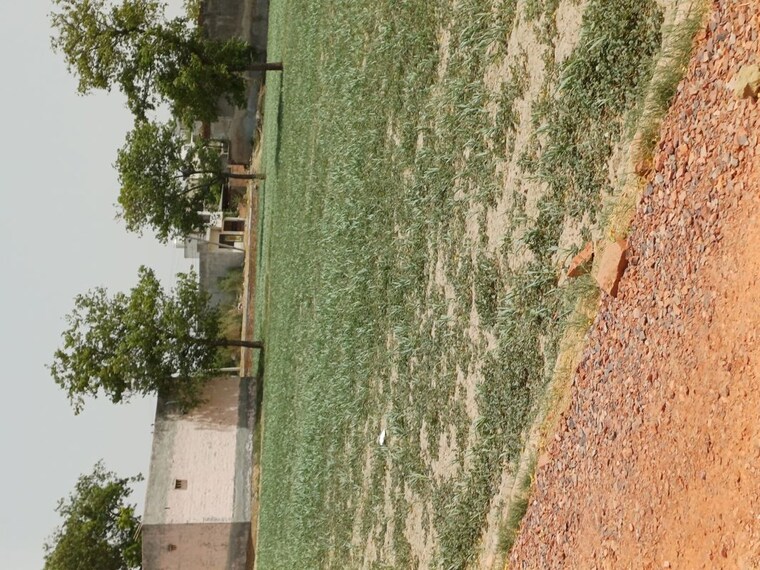 undefined, karnera village  66 Sq.Yd. Plot In Karnera Village Faridabad 10554665