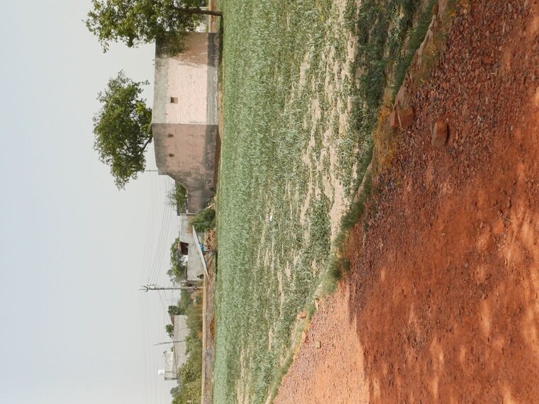 undefined, karnera village  66 Sq.Yd. Plot In Karnera Village Faridabad 10554665